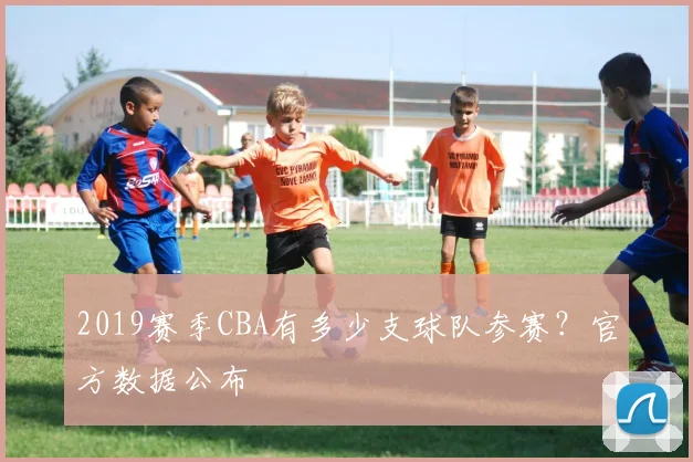 2019赛季CBA有多少支球队参赛?官方数据公布