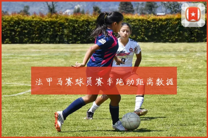 法甲马赛球员赛季跑动距离数据