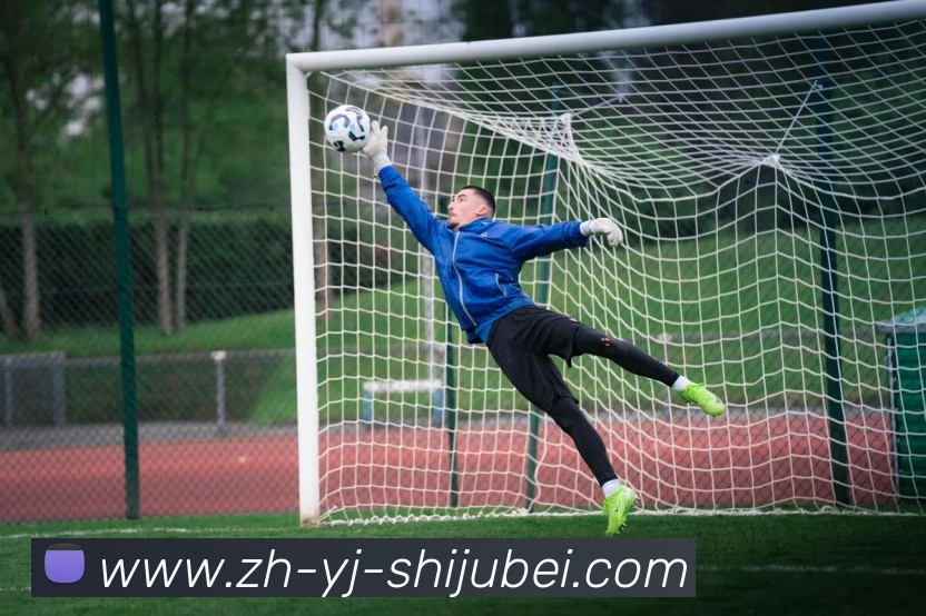 世界杯赛程表平台生态图