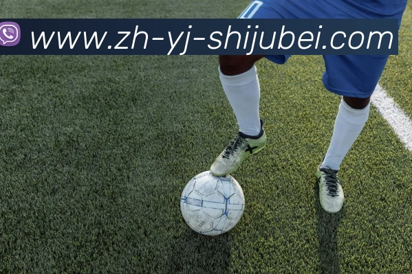 辅助工具 辅助工具