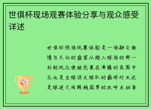 世俱杯现场观赛体验分享与观众感受详述